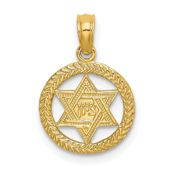 Lovely Rita's Pendants & Charms 14K Yellow Gold Polish Texture Finish Star Of David In Circle Pendant