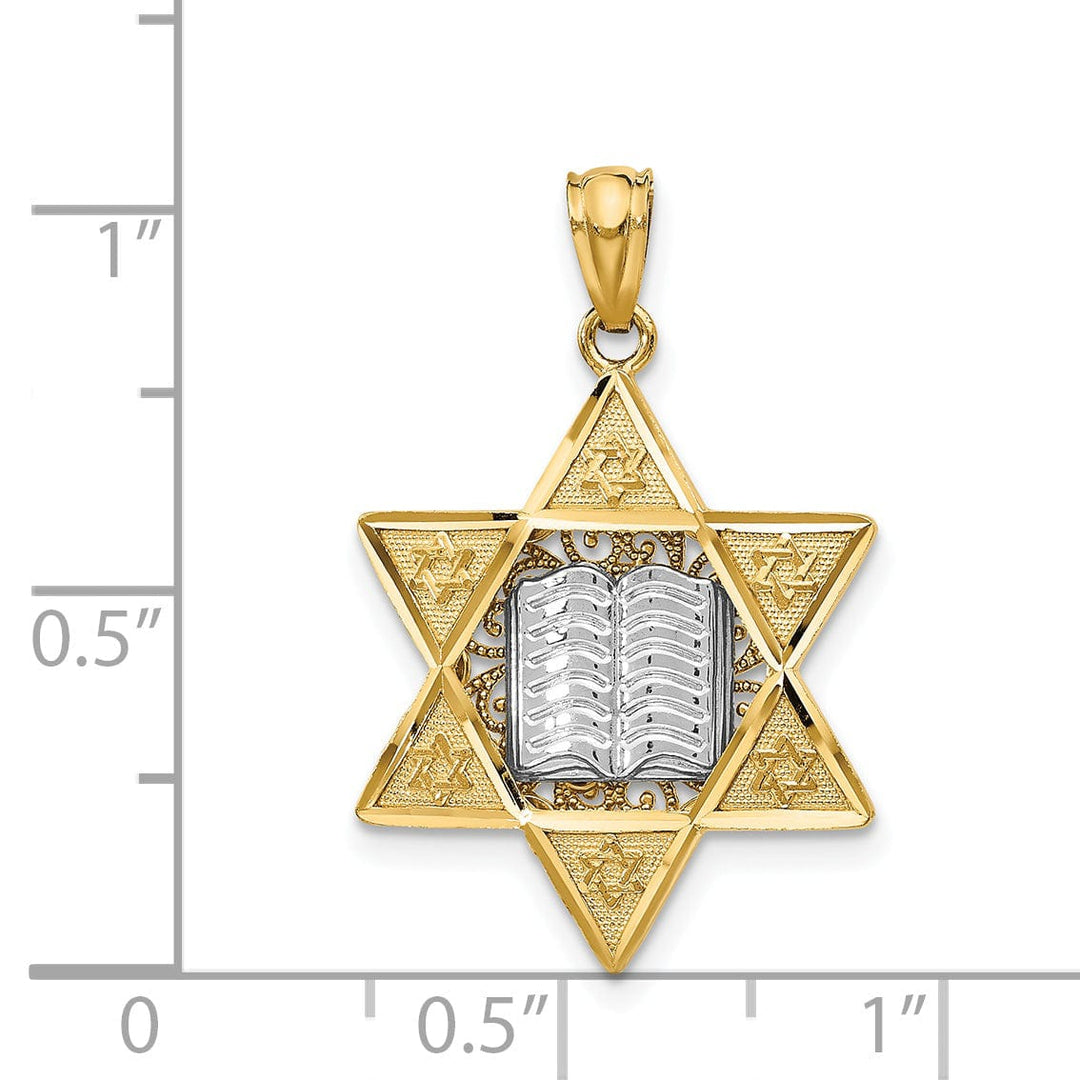 Lovely Rita's Pendants & Charms 14k Yellow Gold Polish Texture Finish Star of David with Torah Pendant