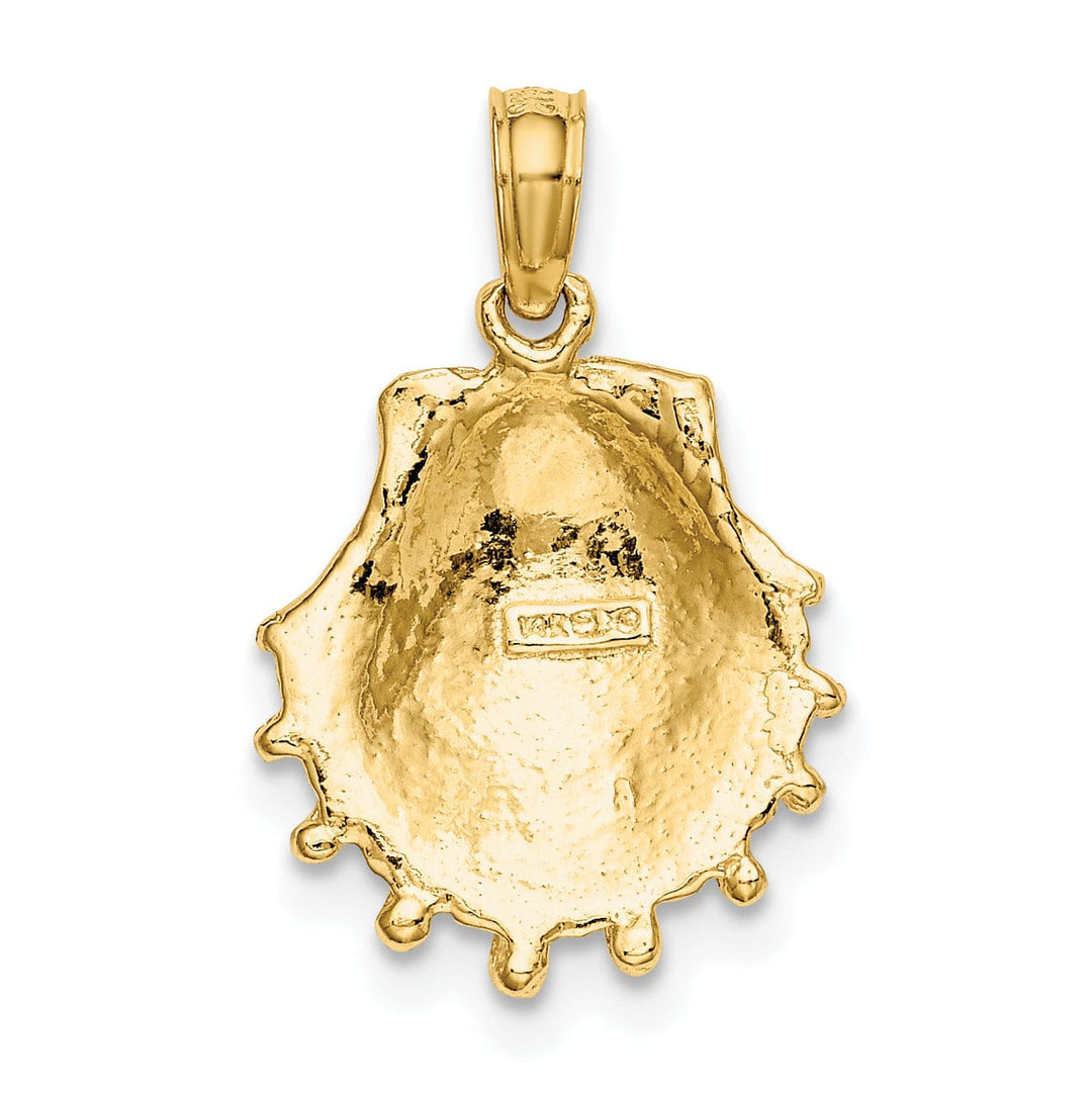 Lovely Rita's Pendants & Charms 14K Yellow Gold Polish Textured Finish Lions Paw Sea Shell Charm Pendant