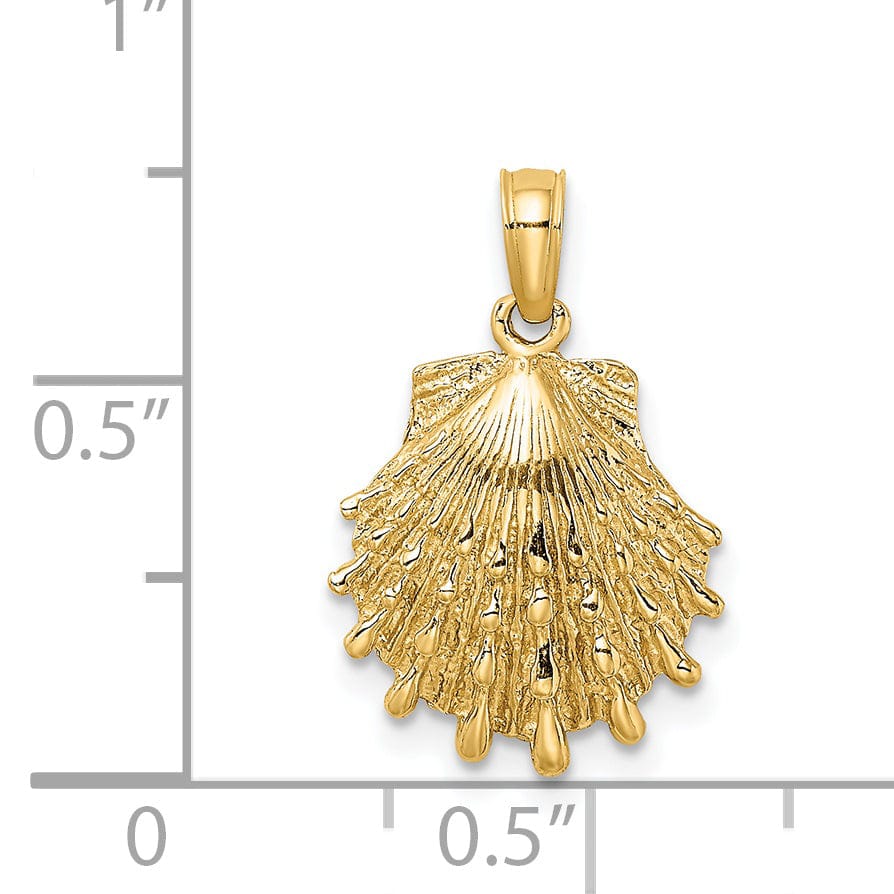 Lovely Rita's Pendants & Charms 14K Yellow Gold Polish Textured Finish Lions Paw Sea Shell Charm Pendant