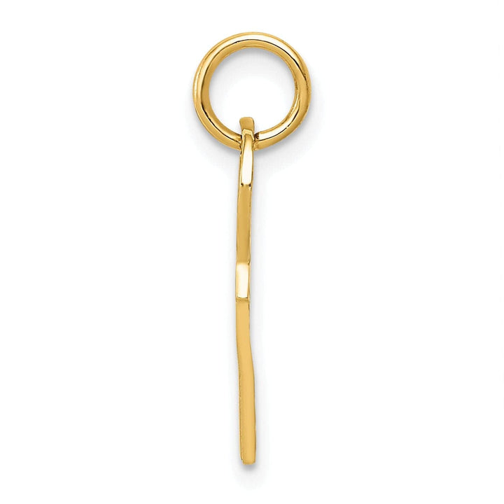 Lovely Rita's Pendants & Charms 14K Yellow Gold Polished 3-D Rounded Top Key Charm Pendant