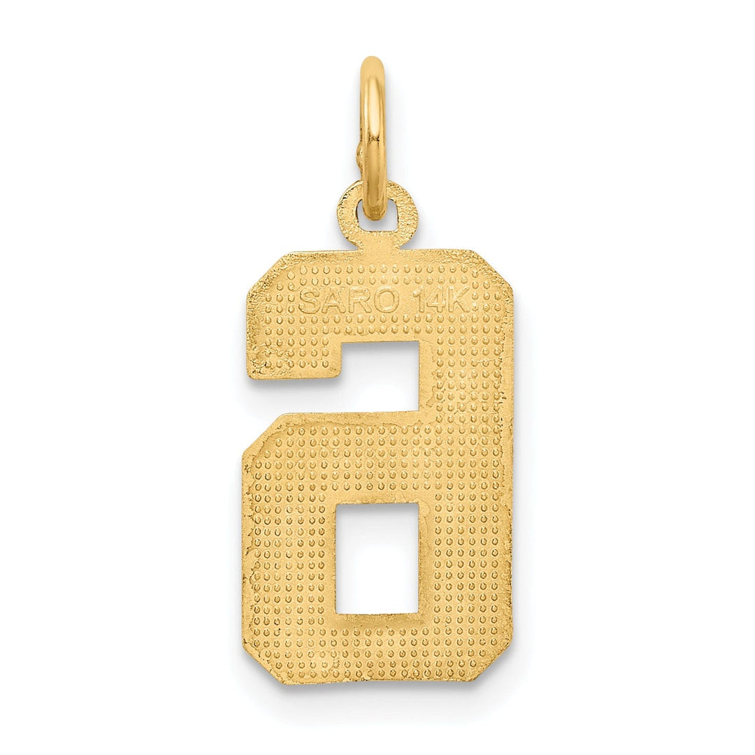 Lovely Rita's Pendants & Charms 14K Yellow Gold Polished Diamond Cut Finish Medium Size Number 6 Charm Pendant