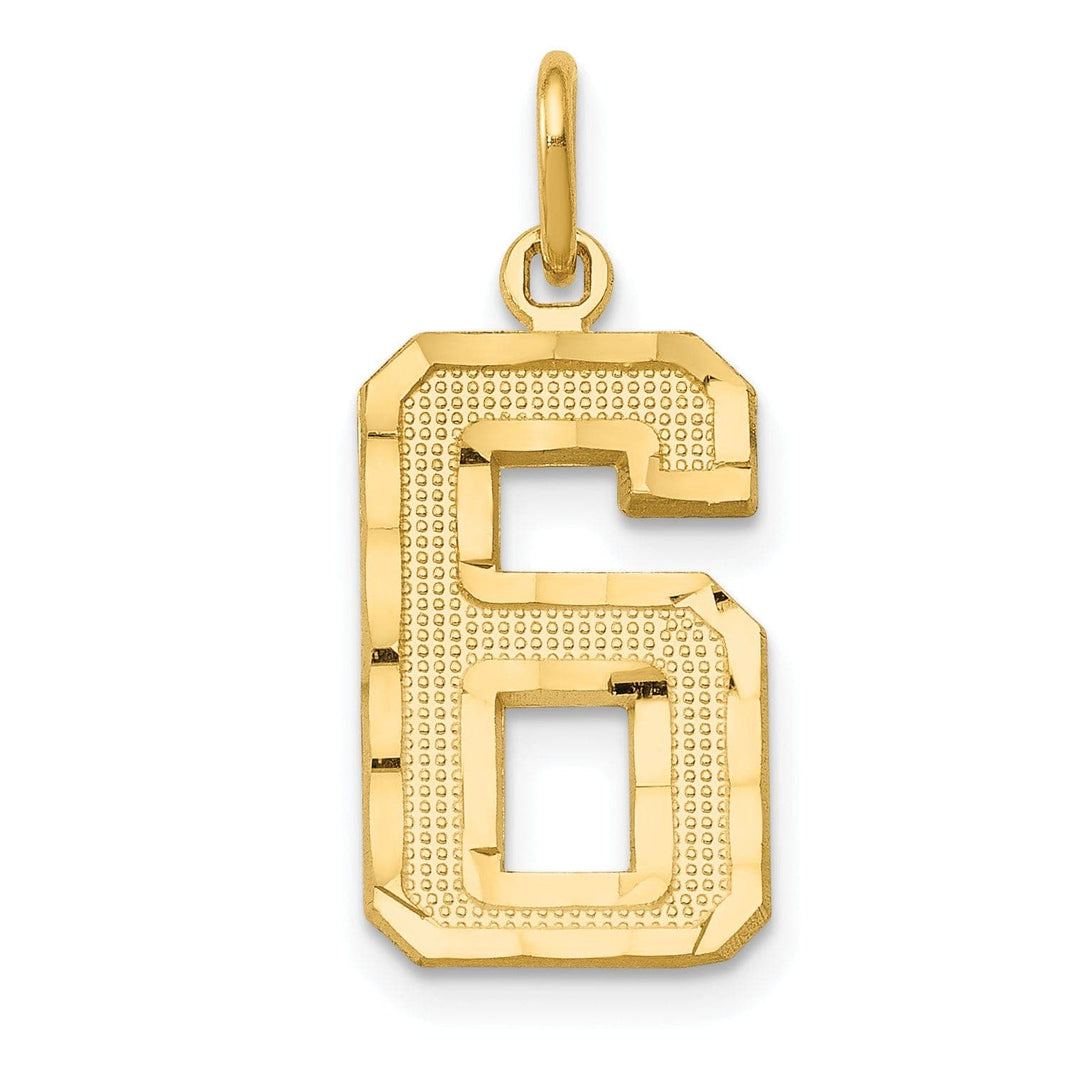 Lovely Rita's Pendants & Charms 14K Yellow Gold Polished Diamond Cut Finish Medium Size Number 6 Charm Pendant