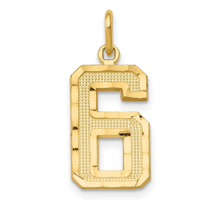Lovely Rita's Pendants & Charms 14K Yellow Gold Polished Diamond Cut Finish Medium Size Number 6 Charm Pendant