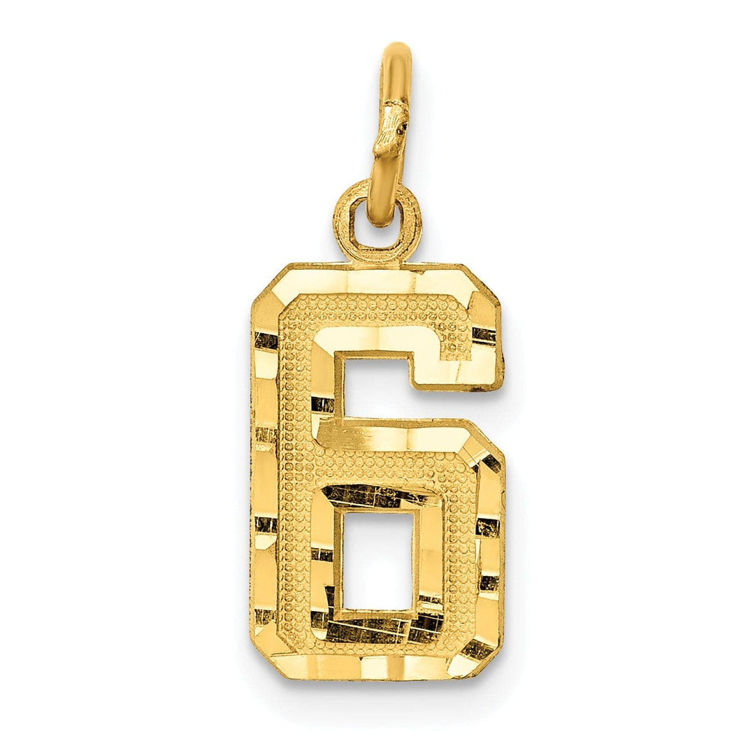 Lovely Rita's Pendants & Charms 14k Yellow Gold Polished Diamond Cut Finish Small Size Number 6 Charm Pendant