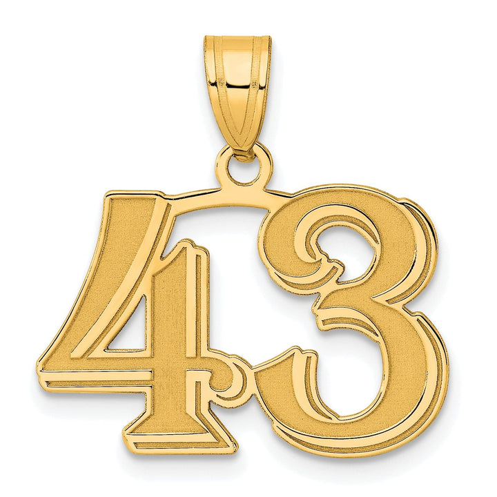 Lovely Rita's Pendants & Charms 14k Yellow Gold Polished Etched Finish Number 43 Charm Pendant