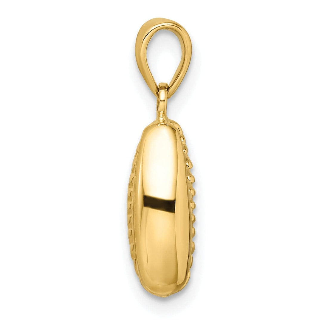 Lovely Rita's Pendants & Charms 14k Yellow Gold Polished Finish 3-Dimensional Crowrie Shell Charm Pendant