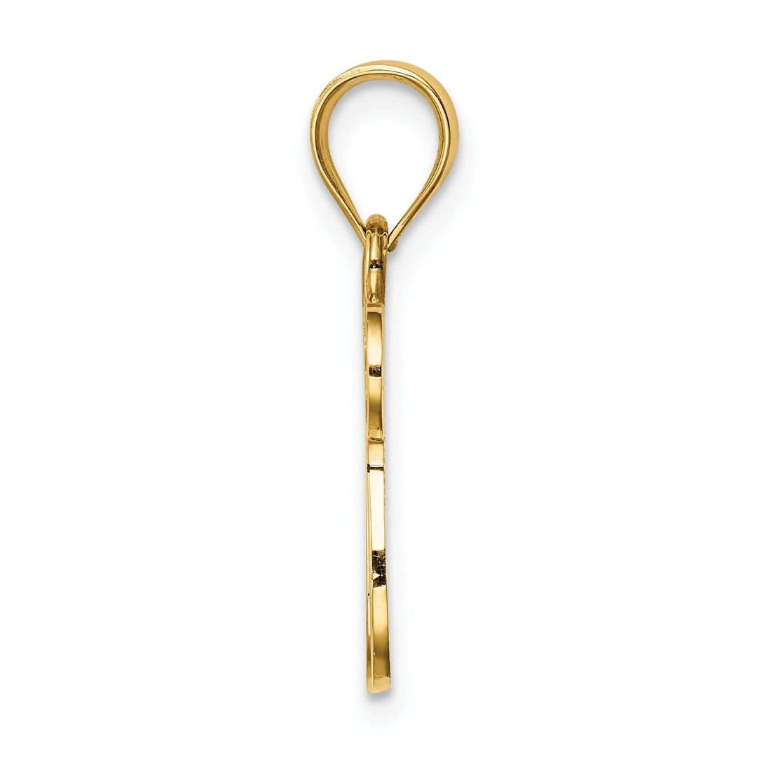 Lovely Rita's Pendants & Charms 14K Yellow Gold Polished Finish Chai with Star of David Pendant