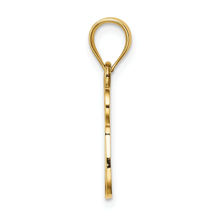 Lovely Rita's Pendants & Charms 14K Yellow Gold Polished Finish Chai with Star of David Pendant