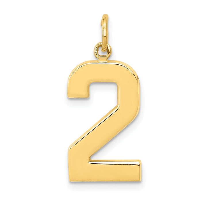 Lovely Rita's Pendants & Charms 14k Yellow Gold Polished Finish Large Size Number 2 Charm Pendant