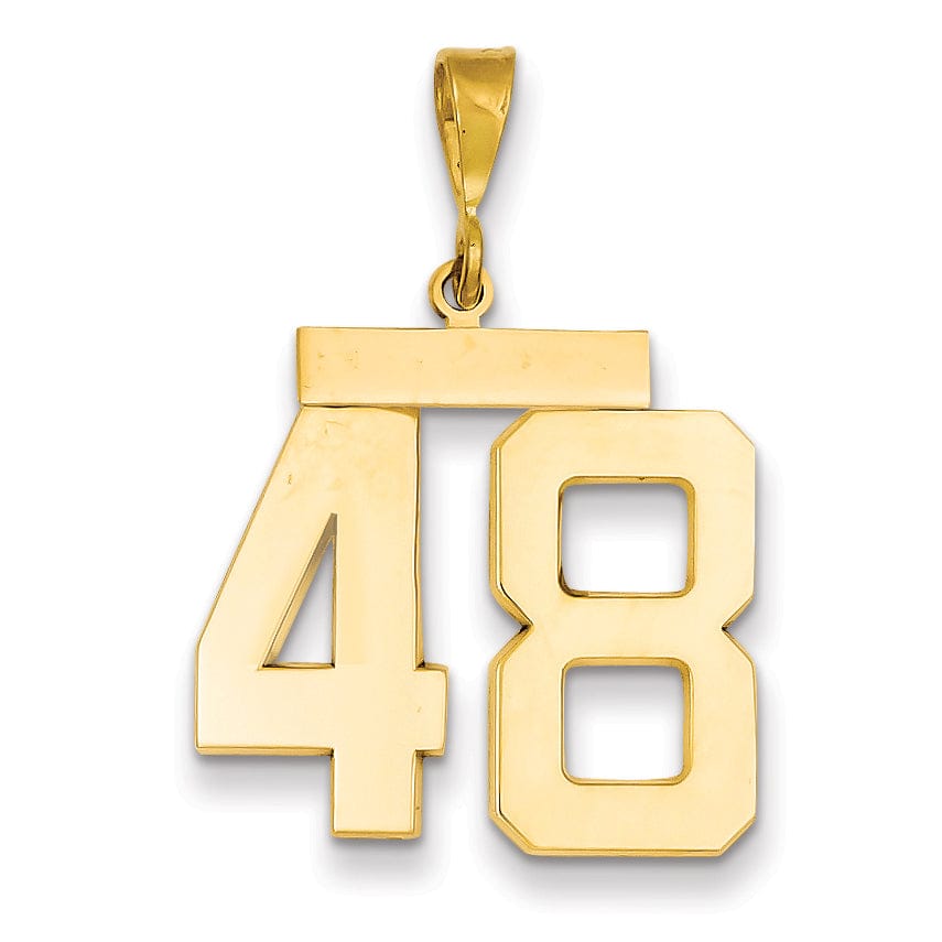 Lovely Rita's Pendants & Charms 14k Yellow Gold Polished Finish Large Size Number 48 Charm Pendant
