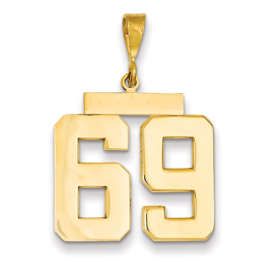 Lovely Rita's Pendants & Charms 14k Yellow Gold Polished Finish Large Size Number 69 Charm Pendant