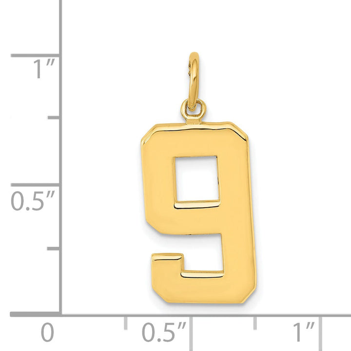 Lovely Rita's Pendants & Charms 14k Yellow Gold Polished Finish Large Size Number 9 Charm Pendant