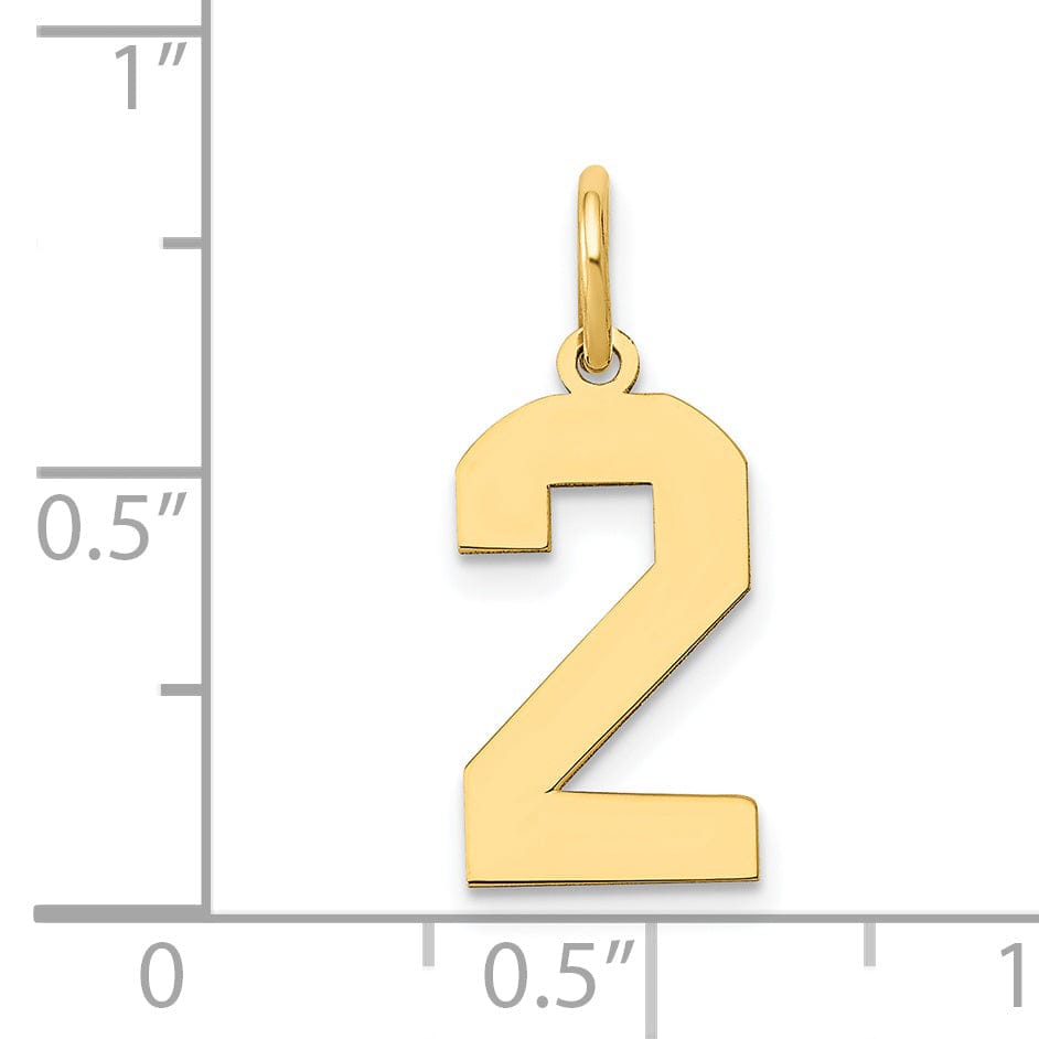 Lovely Rita's Pendants & Charms 14K Yellow Gold Polished Finish Medium Size Number 2 Charm Pendant