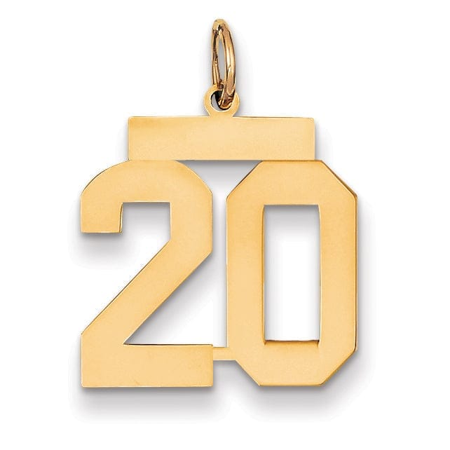 Lovely Rita's Pendants & Charms 14K Yellow Gold Polished Finish Medium Size Number 20 Charm Pendant