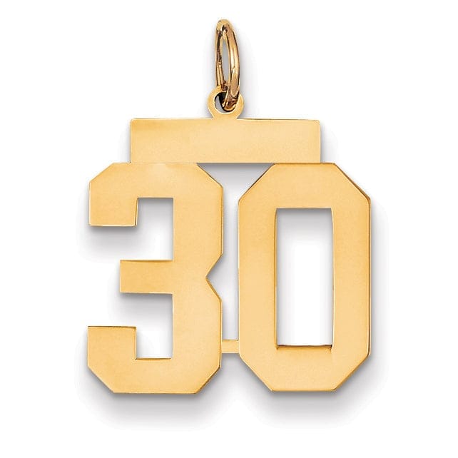 Lovely Rita's Pendants & Charms 14K Yellow Gold Polished Finish Medium Size Number 30 Charm Pendant