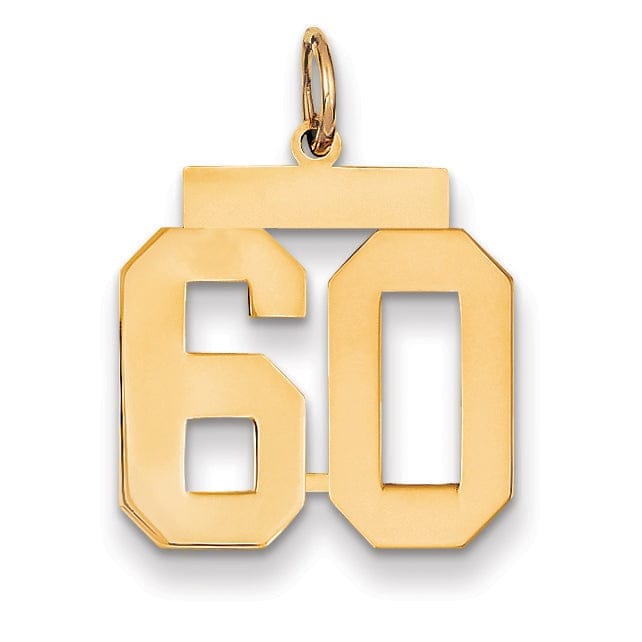 Lovely Rita's Pendants & Charms 14K Yellow Gold Polished Finish Medium Size Number 60 Charm Pendant