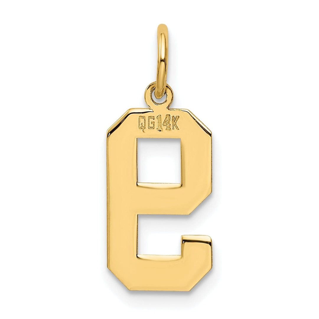 Lovely Rita's Pendants & Charms 14K Yellow Gold Polished Finish Medium Size Number 9 Charm Pendant