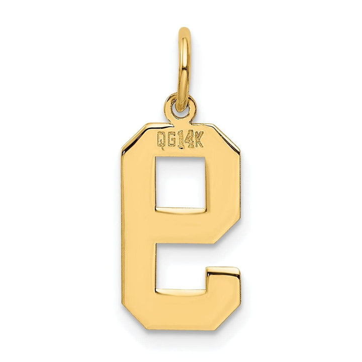 Lovely Rita's Pendants & Charms 14K Yellow Gold Polished Finish Medium Size Number 9 Charm Pendant