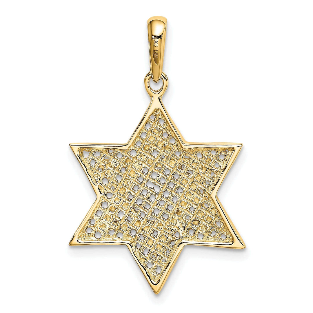 Lovely Rita's Pendants & Charms 14K Yellow Gold Polished Finish Mesh Style Star Of David Charm Pendant