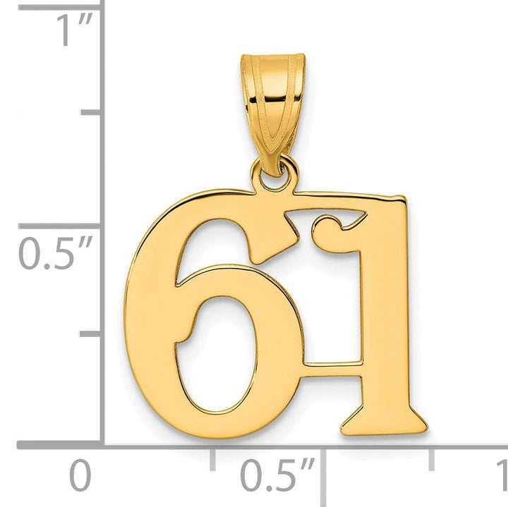 Lovely Rita's Pendants & Charms 14k Yellow Gold Polished Finish Number 61 Charm Pendant