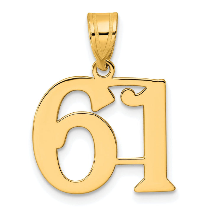 Lovely Rita's Pendants & Charms 14k Yellow Gold Polished Finish Number 61 Charm Pendant