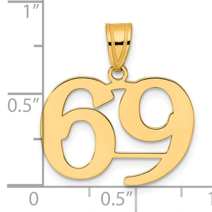 Lovely Rita's Pendants & Charms 14k Yellow Gold Polished Finish Number 69 Charm Pendant