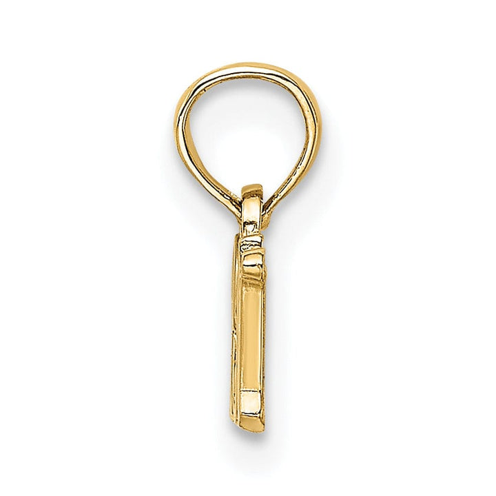 Lovely Rita's Pendants & Charms 14k Yellow Gold Polished Finish R.N Registered Charm