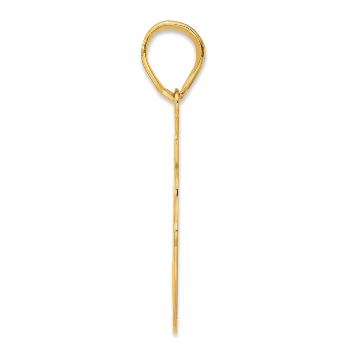 Lovely Rita's Pendants & Charms 14k Yellow Gold Polished Finish Script Design Number 60 Charm Pendant