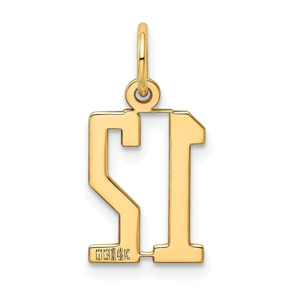 Lovely Rita's Pendants & Charms 14K Yellow Gold Polished Finish Small Size Elongated Shape Number 12 Charm Pendant
