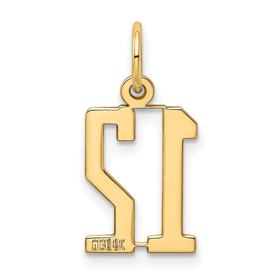 Lovely Rita's Pendants & Charms 14K Yellow Gold Polished Finish Small Size Elongated Shape Number 12 Charm Pendant