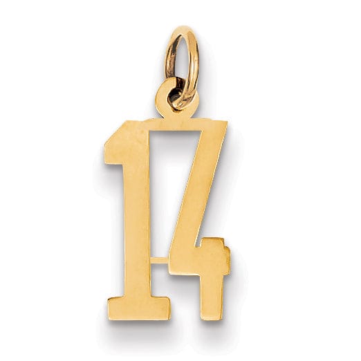 Lovely Rita's Pendants & Charms 14K Yellow Gold Polished Finish Small Size Elongated Shape Number 14 Charm Pendant