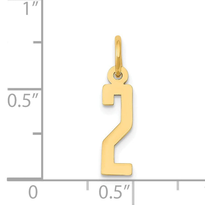 Lovely Rita's Pendants & Charms 14K Yellow Gold Polished Finish Small Size Elongated Shape Number 2 Charm Pendant