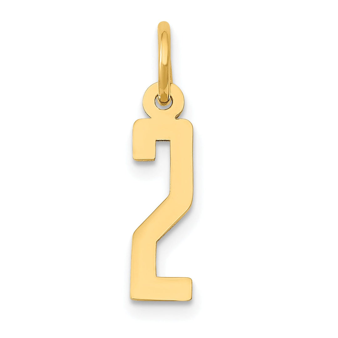 Lovely Rita's Pendants & Charms 14K Yellow Gold Polished Finish Small Size Elongated Shape Number 2 Charm Pendant