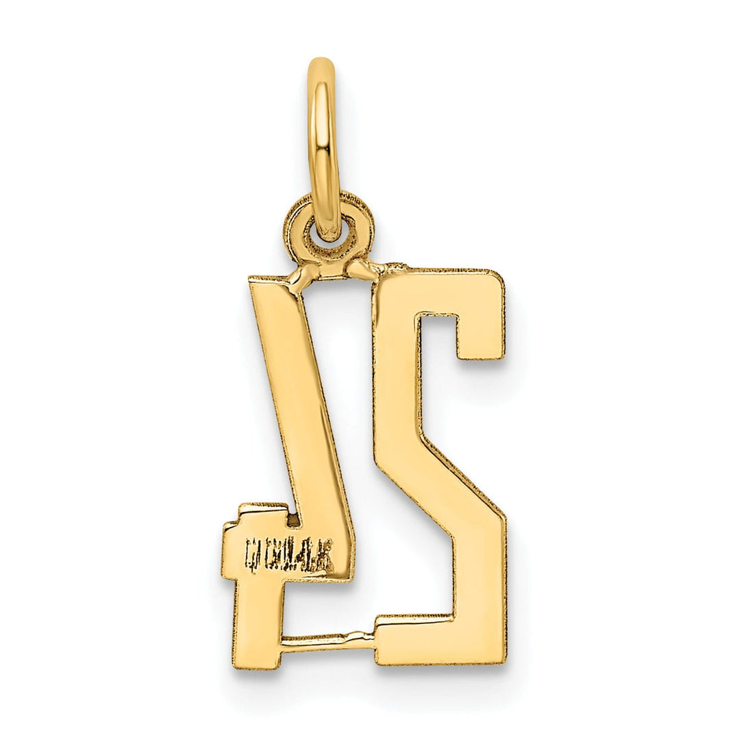 Lovely Rita's Pendants & Charms 14K Yellow Gold Polished Finish Small Size Elongated Shape Number 24 Charm Pendant