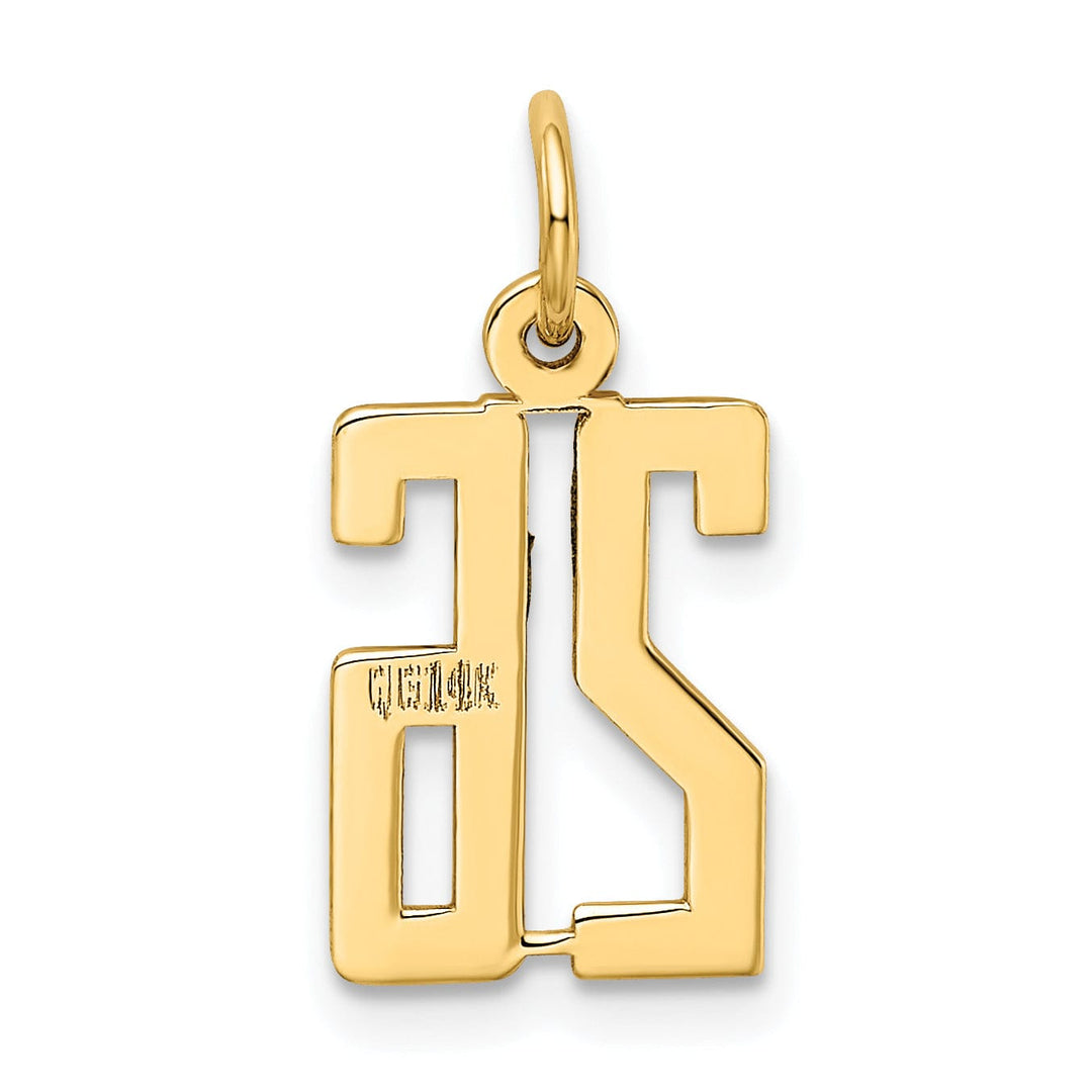 Lovely Rita's Pendants & Charms 14K Yellow Gold Polished Finish Small Size Elongated Shape Number 26 Charm Pendant