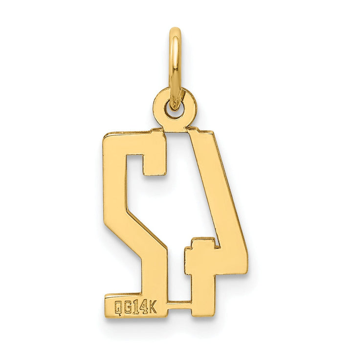 Lovely Rita's Pendants & Charms 14K Yellow Gold Polished Finish Small Size Elongated Shape Number 42 Charm Pendant