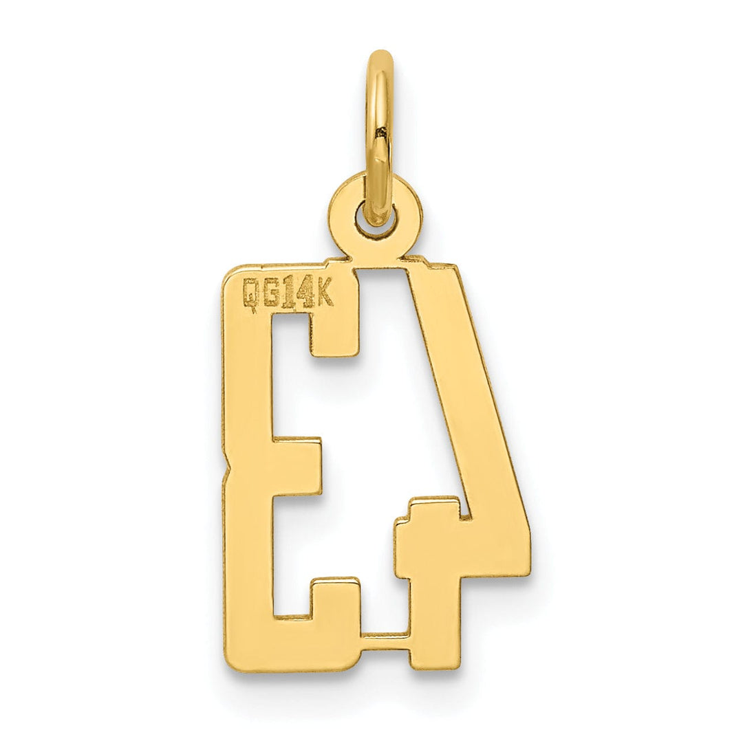 Lovely Rita's Pendants & Charms 14K Yellow Gold Polished Finish Small Size Elongated Shape Number 43 Charm Pendant