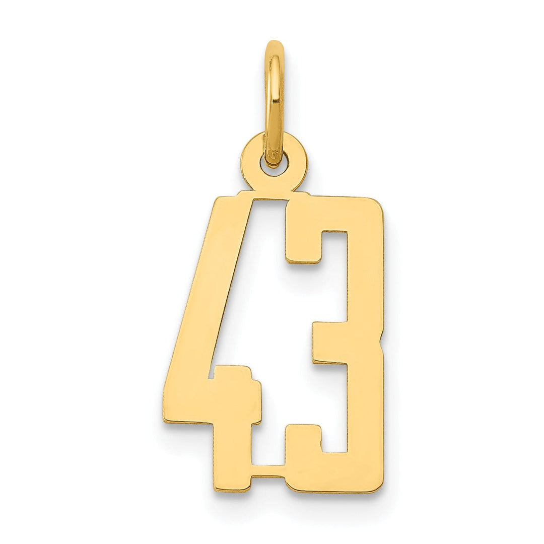 Lovely Rita's Pendants & Charms 14K Yellow Gold Polished Finish Small Size Elongated Shape Number 43 Charm Pendant