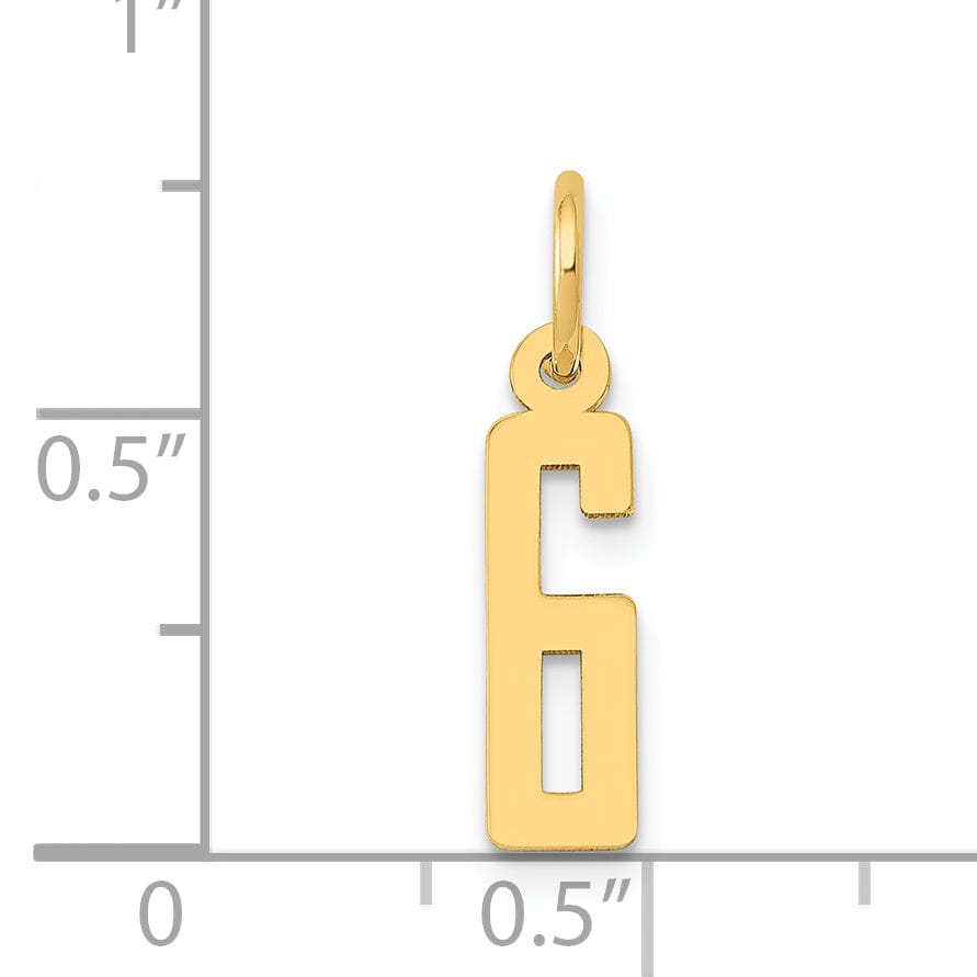Lovely Rita's Pendants & Charms 14K Yellow Gold Polished Finish Small Size Elongated Shape Number 6 Charm Pendant
