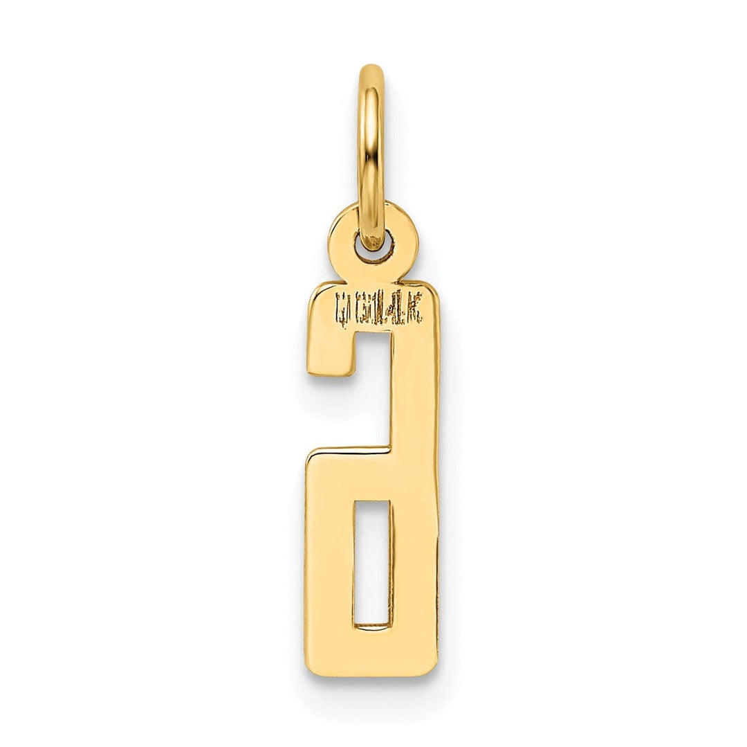 Lovely Rita's Pendants & Charms 14K Yellow Gold Polished Finish Small Size Elongated Shape Number 6 Charm Pendant