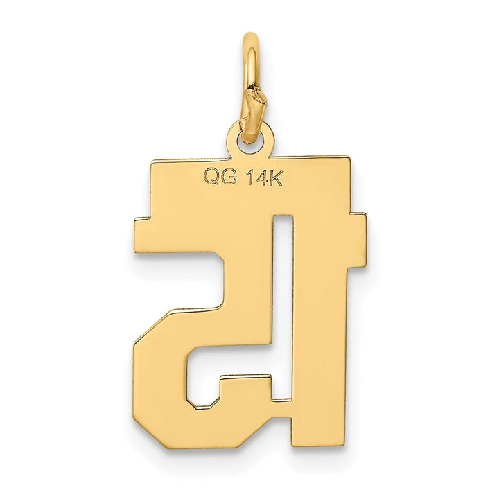 Lovely Rita's Pendants & Charms 14k Yellow Gold Polished Finish Small Size Number 15 Charm Pendant
