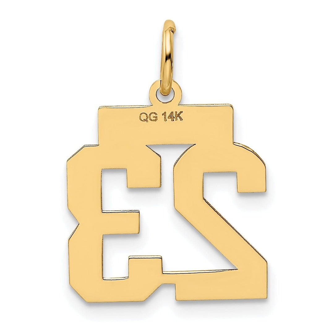 Lovely Rita's Pendants & Charms 14k Yellow Gold Polished Finish Small Size Number 23 Charm Pendant