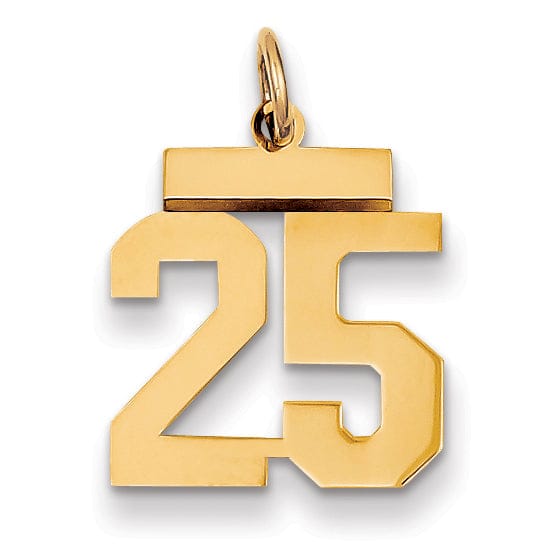 Lovely Rita's Pendants & Charms 14k Yellow Gold Polished Finish Small Size Number 25 Charm Pendant