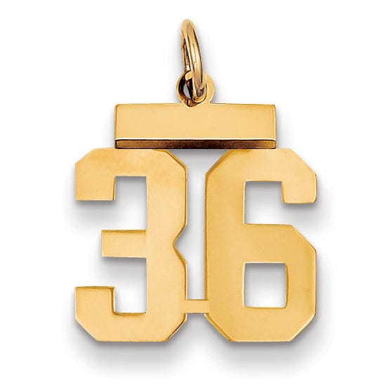 Lovely Rita's Pendants & Charms 14k Yellow Gold Polished Finish Small Size Number 36 Charm Pendant