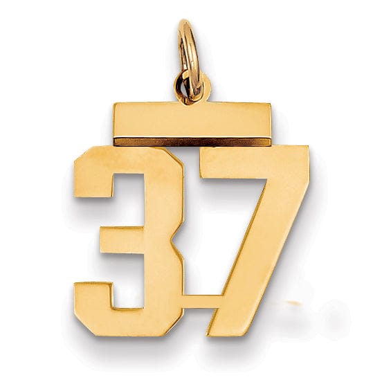 Lovely Rita's Pendants & Charms 14k Yellow Gold Polished Finish Small Size Number 37 Charm Pendant