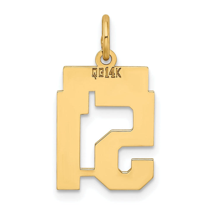 Lovely Rita's Pendants & Charms 14k Yellow Gold Polished Finish Small Size Number 51 Charm Pendant