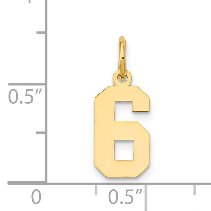 Lovely Rita's Pendants & Charms 14k Yellow Gold Polished Finish Small Size Number 6 Charm Pendant