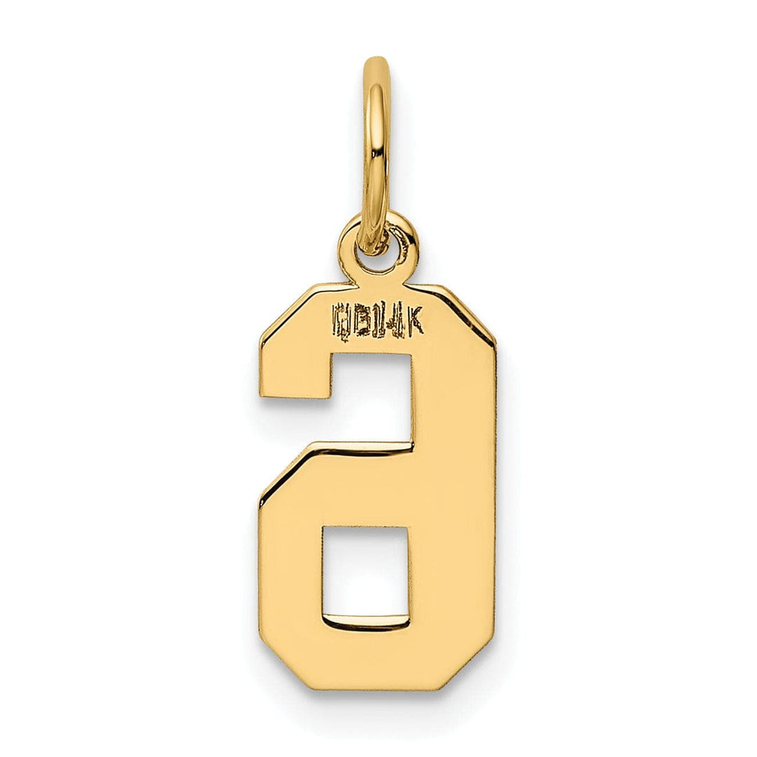 Lovely Rita's Pendants & Charms 14k Yellow Gold Polished Finish Small Size Number 6 Charm Pendant