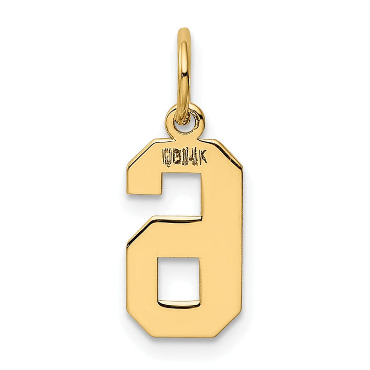 Lovely Rita's Pendants & Charms 14k Yellow Gold Polished Finish Small Size Number 6 Charm Pendant